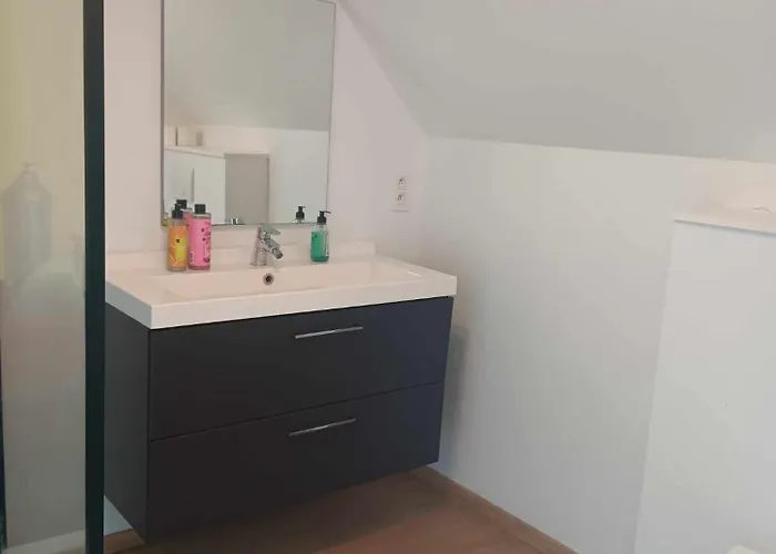 Bed & Breakfast Quartier Leonard Gent