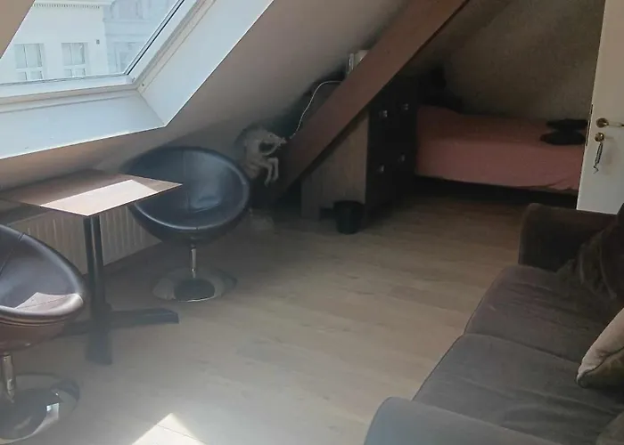 Bed & Breakfast Quartier Leonard 3*